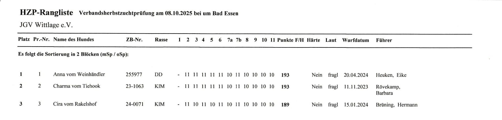 HZP08.10.2025 hochladen